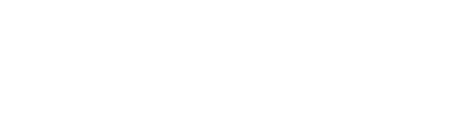 Drystorm Studios Logo